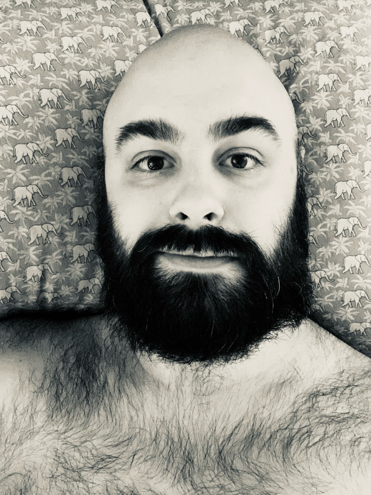 exo-vault OnlyFans - Exo Vault - Creator Profile - Fleshbot