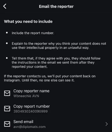 Did AVN Accidentally Report Your Instagram Account for Copyright Violations?