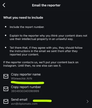 Did AVN Accidentally Report Your Instagram Account for Copyright Violations?