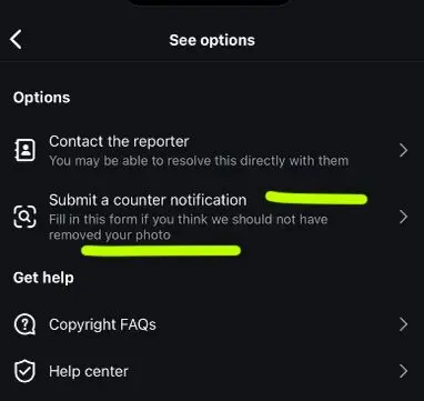 Did AVN Accidentally Report Your Instagram Account for Copyright Violations?