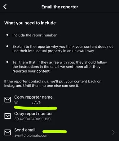 Did AVN Accidentally Report Your Instagram Account for Copyright Violations?