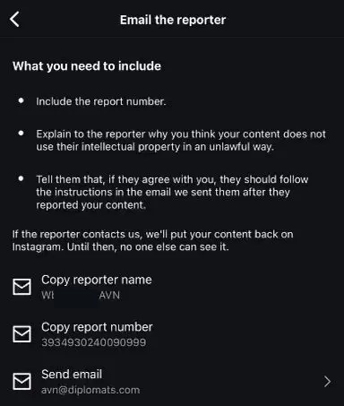 Did AVN Accidentally Report Your Instagram Account for Copyright Violations?