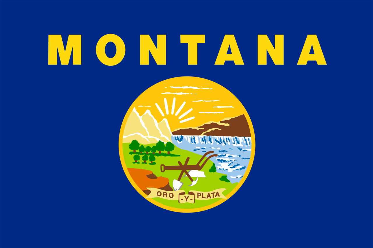Federal Judge Dismisses Challenge to Montana’s Online Age Verification Law