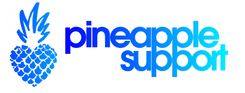 Jerkmate Joins Pineapple Support As Partner-Level Sponsor