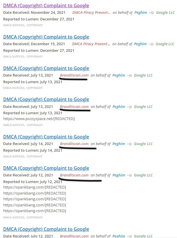 False DMCA Takedown Requests