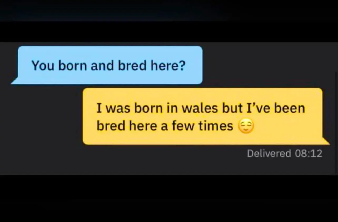 gay dating humor