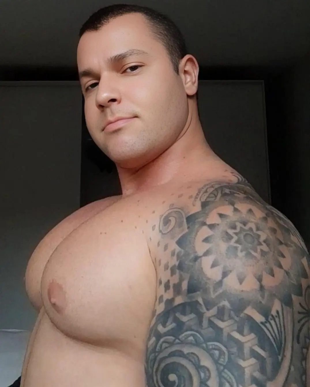 muscle model
