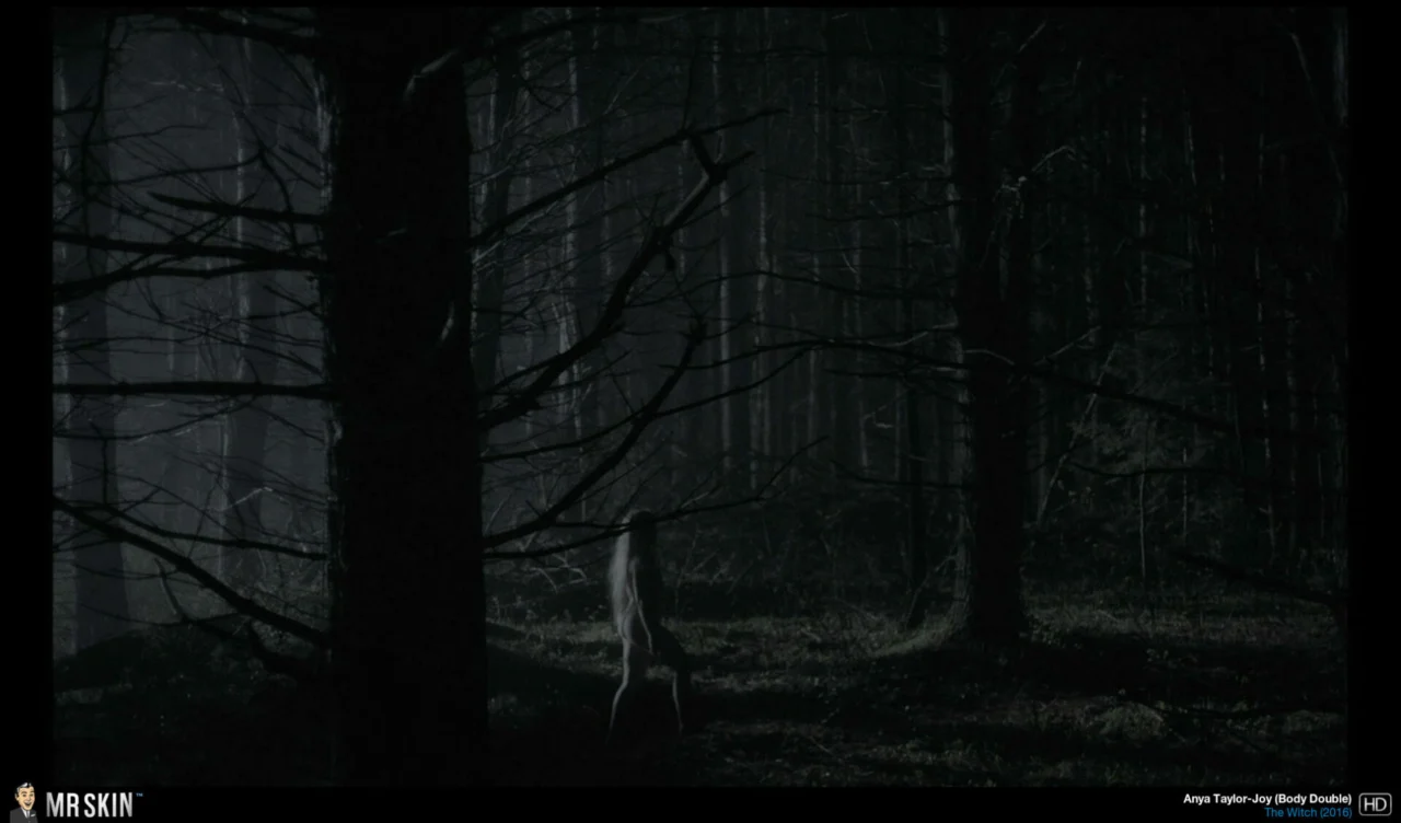 Anya Taylor-Joy in The Witch (2016)
