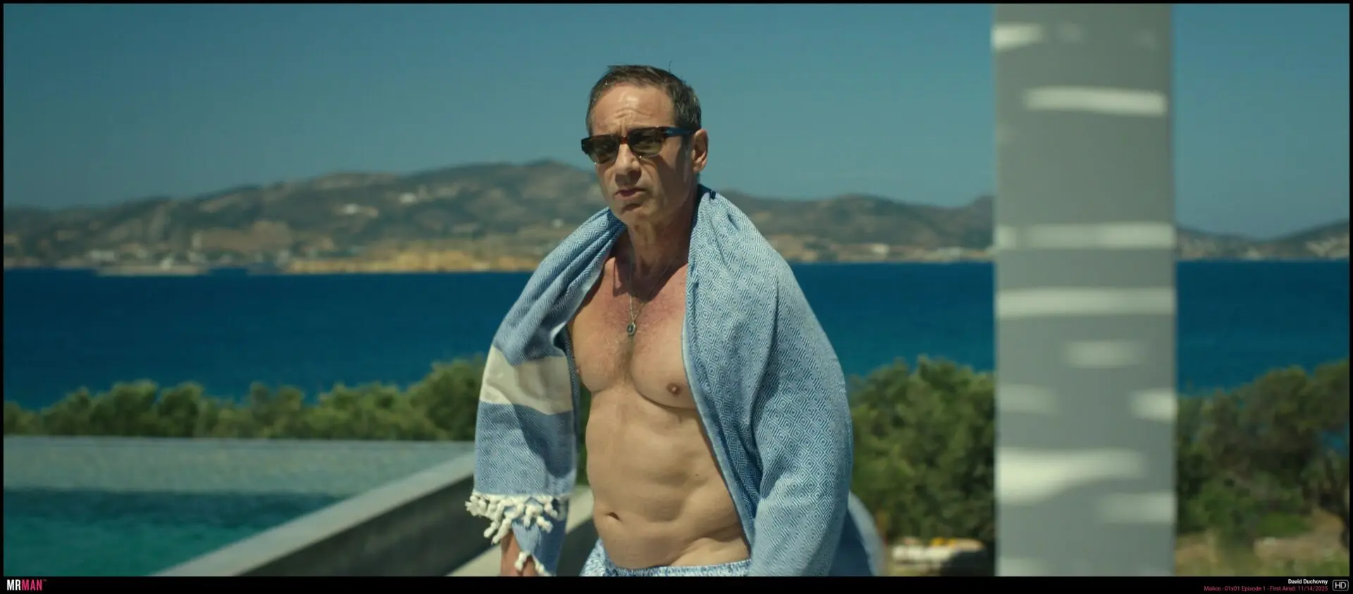 David Duchovny shirtless