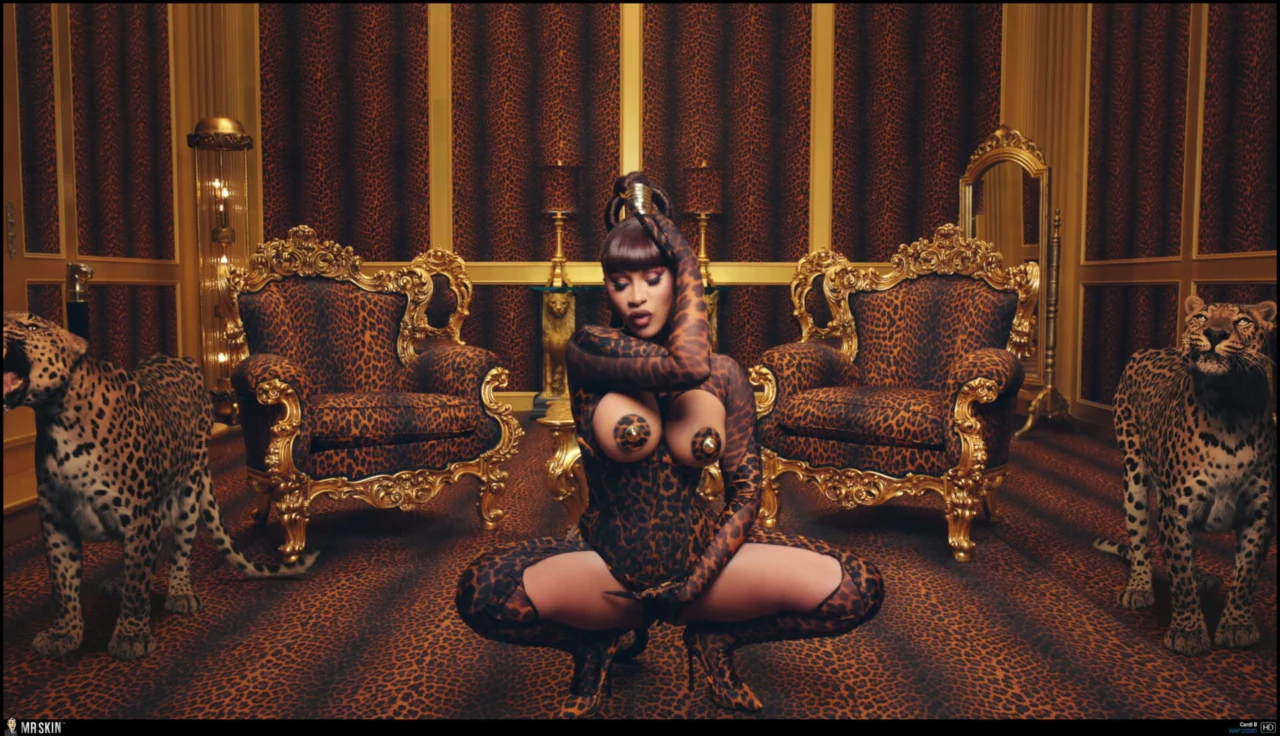 Cardi B at MrSkin.com