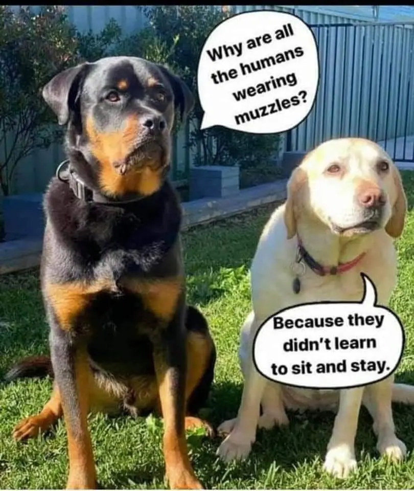 kiwigirlie Onlyfans Leaks